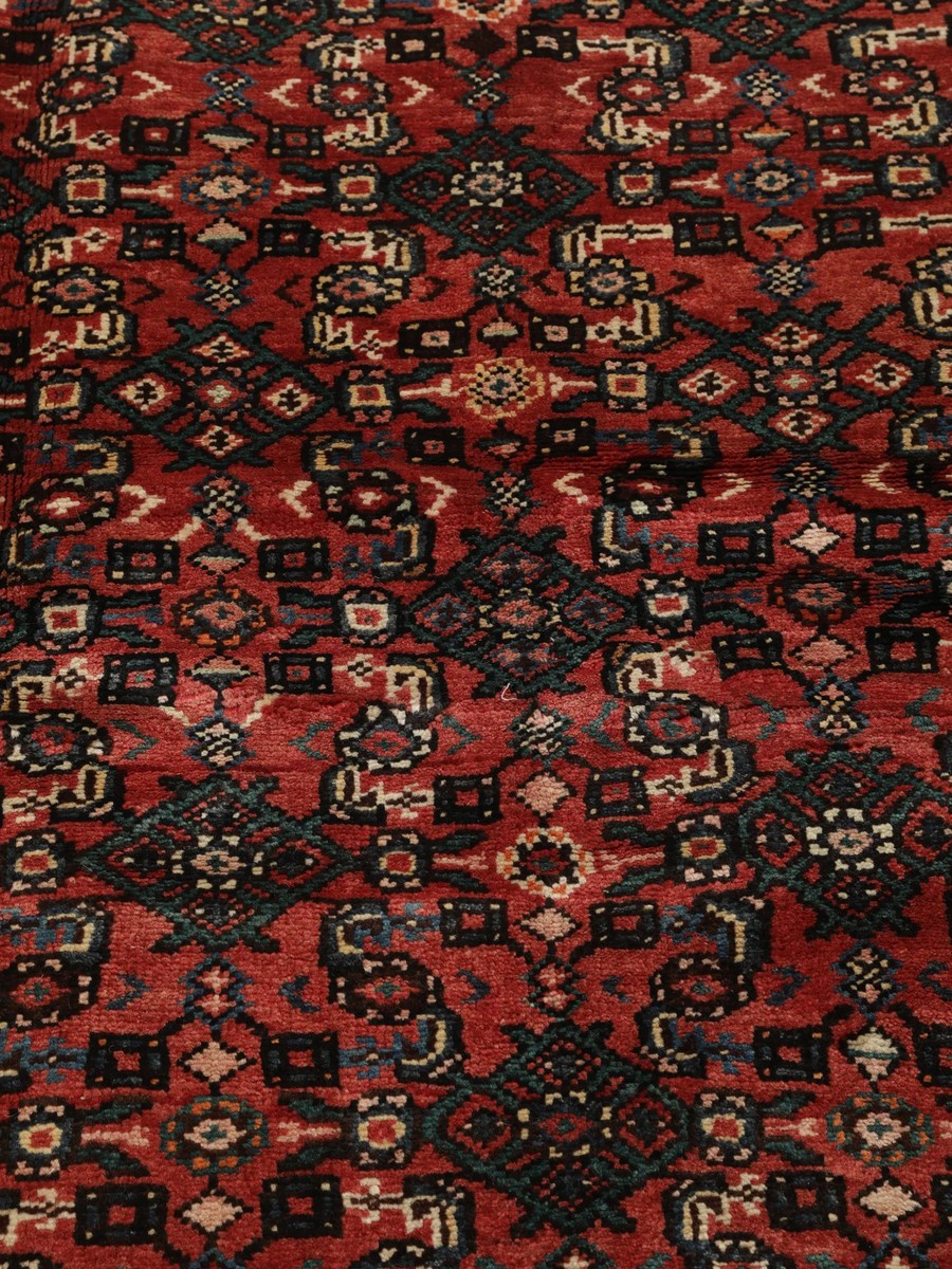 203x305 см, Иран, Восточные, Wool, чёрный — вид 5