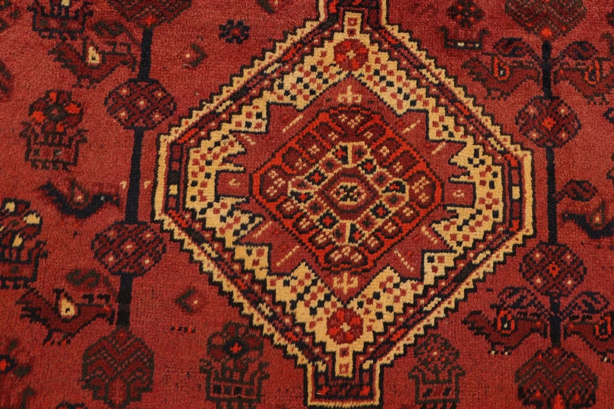 206x302 см, Иран, Кашкай, Wool, красный — вид 2