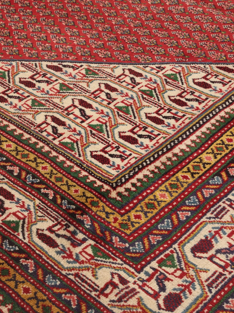 244x348 см, Иран, Сарук, Wool, чёрный — вид 4