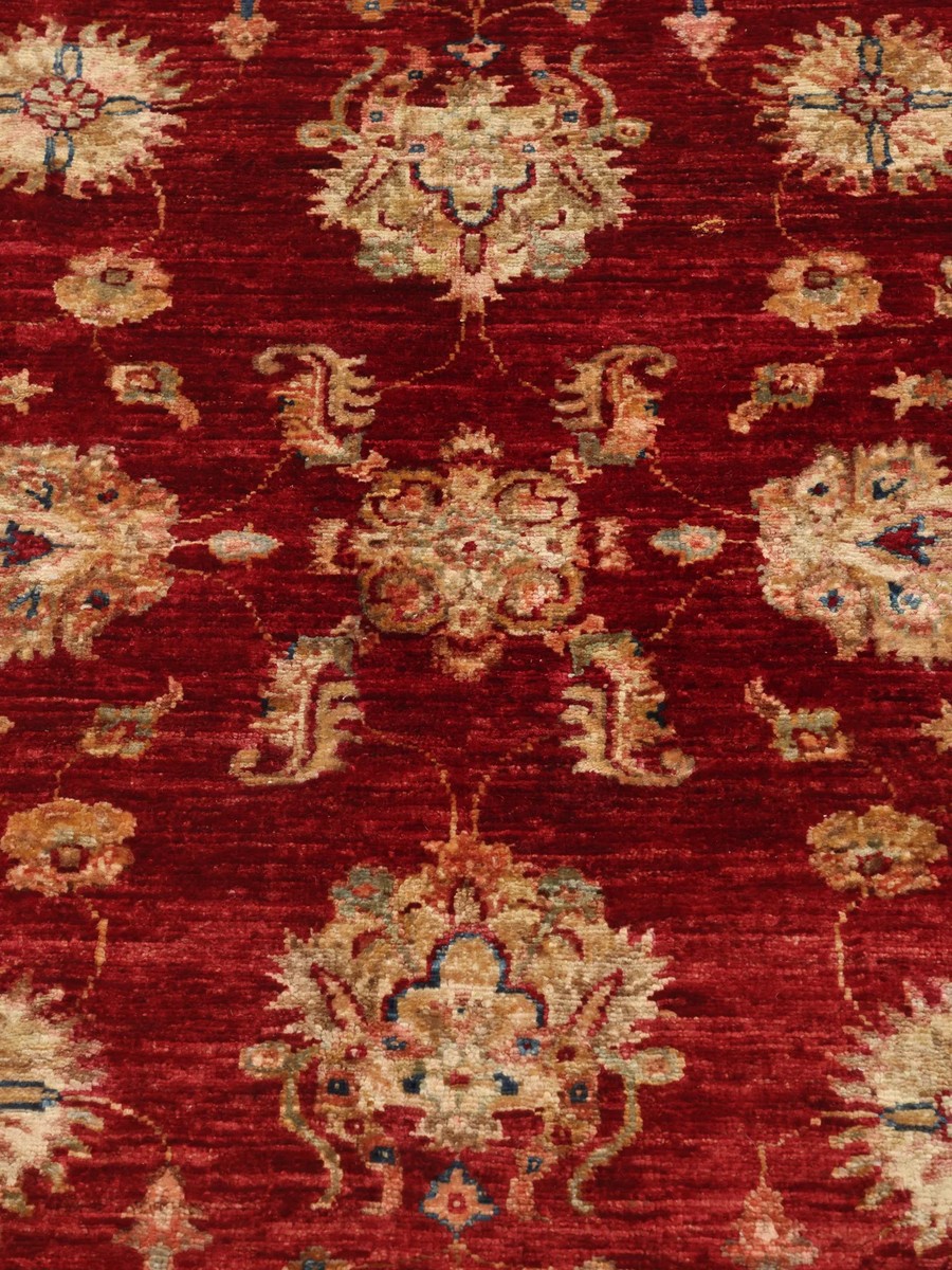 241x348 см, Афганистан, Зиглер, Wool, красный — вид 4