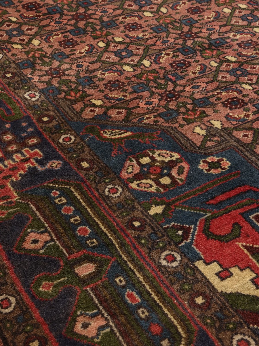 144x230 см, Иран, Восточные, Wool, чёрный — вид 4