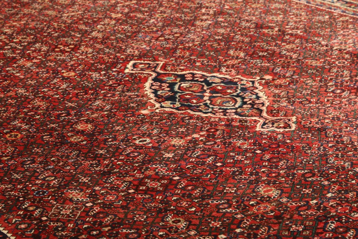 310x445 см, Иран, Восточные, Wool, красный — вид 6