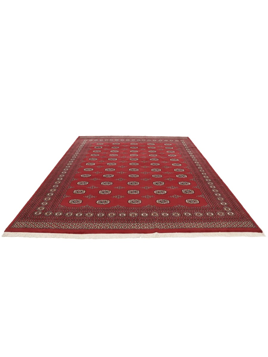 246x304 см, Пакистан, Афган / Пакистан, Wool, красный — вид 2