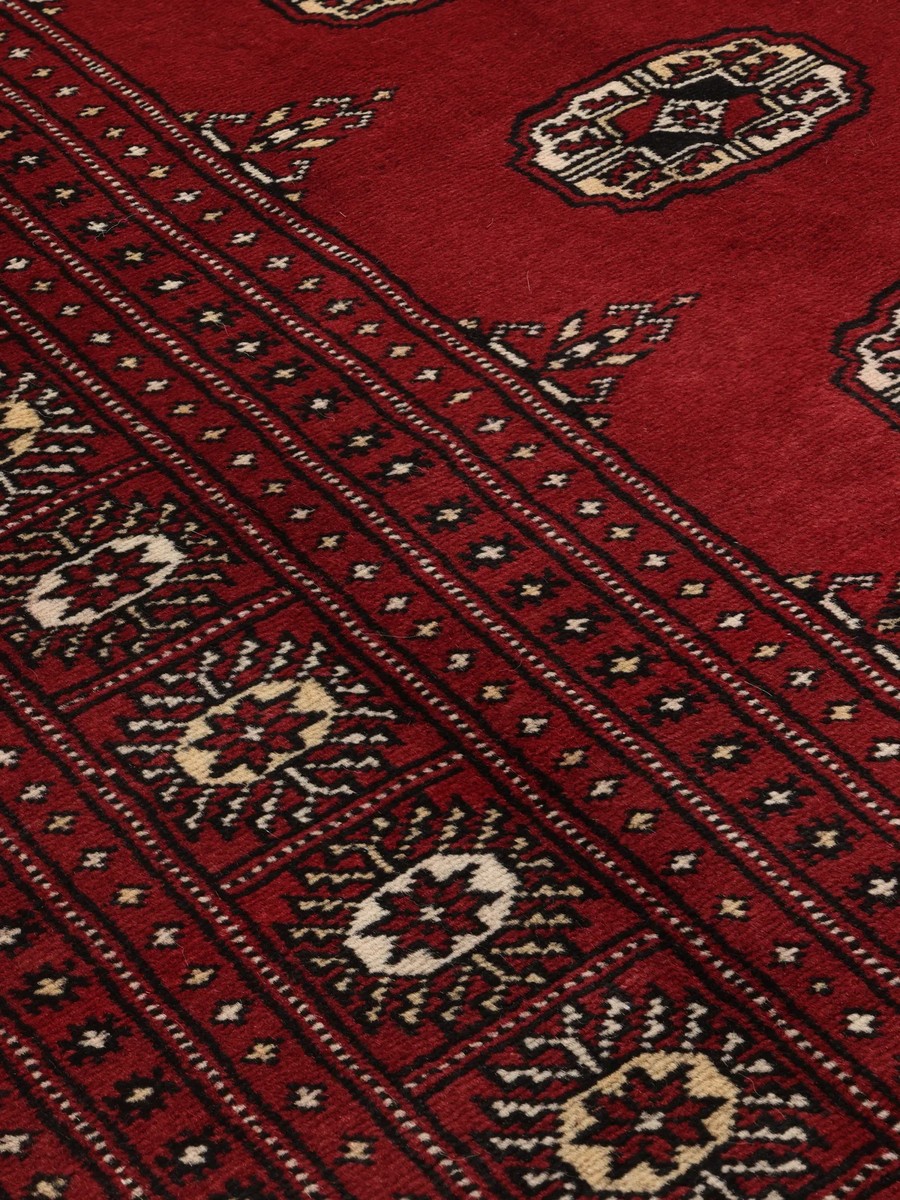 246x304 см, Пакистан, Афган / Пакистан, Wool, красный — вид 4