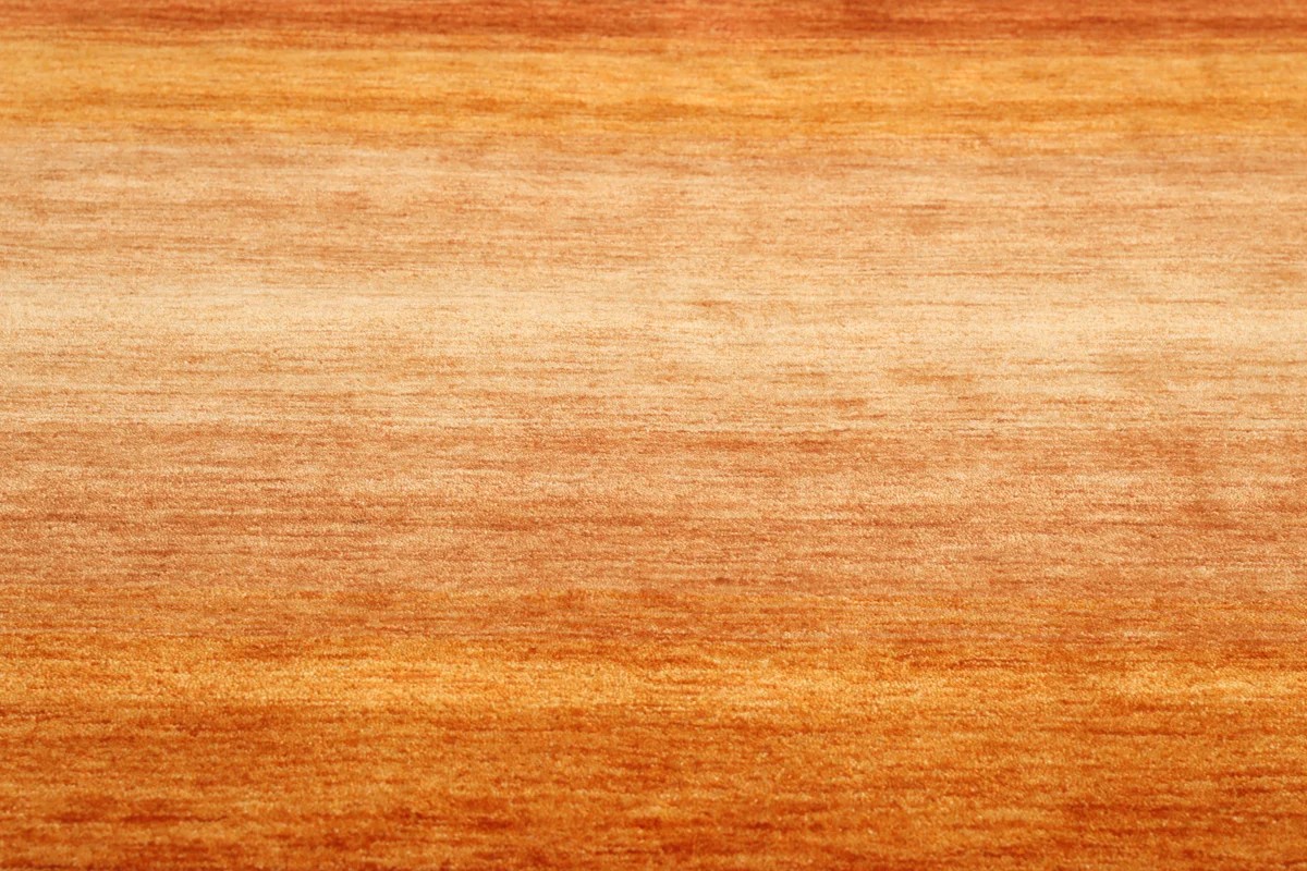 160x230 см, Индия, Габбе, Wool, ржаво-красный — вид 5