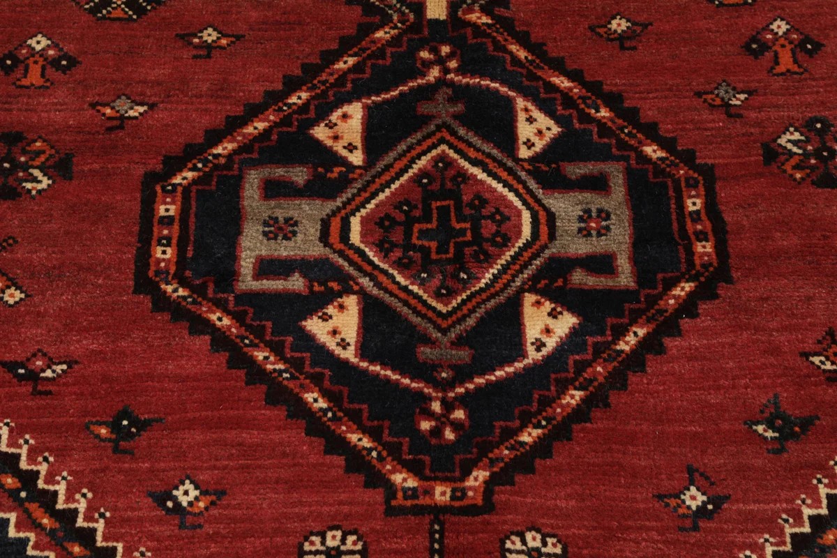 155x256 см, Иран, Кашкай, Wool, чёрный — вид 8
