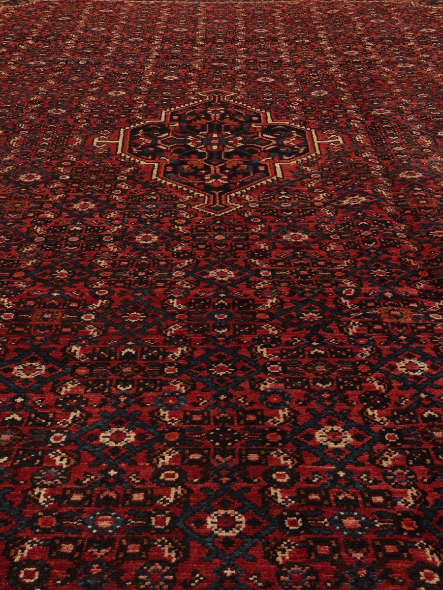 230x322 см, Иран, Восточные, Wool, чёрный — вид 4