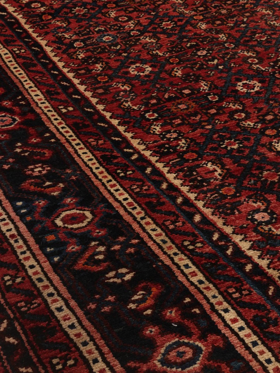 230x322 см, Иран, Восточные, Wool, чёрный — вид 5