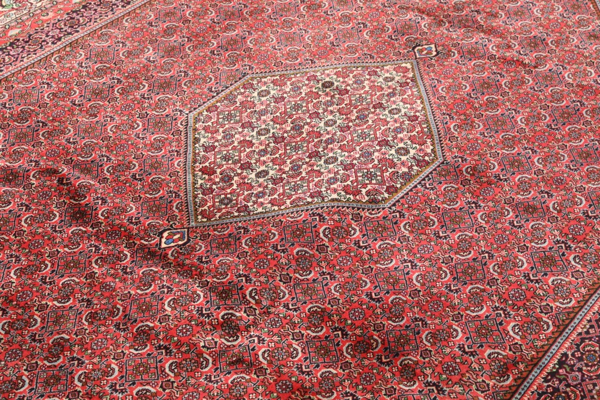 240x340 см, Иран, Биджар, Wool, красный — вид 5
