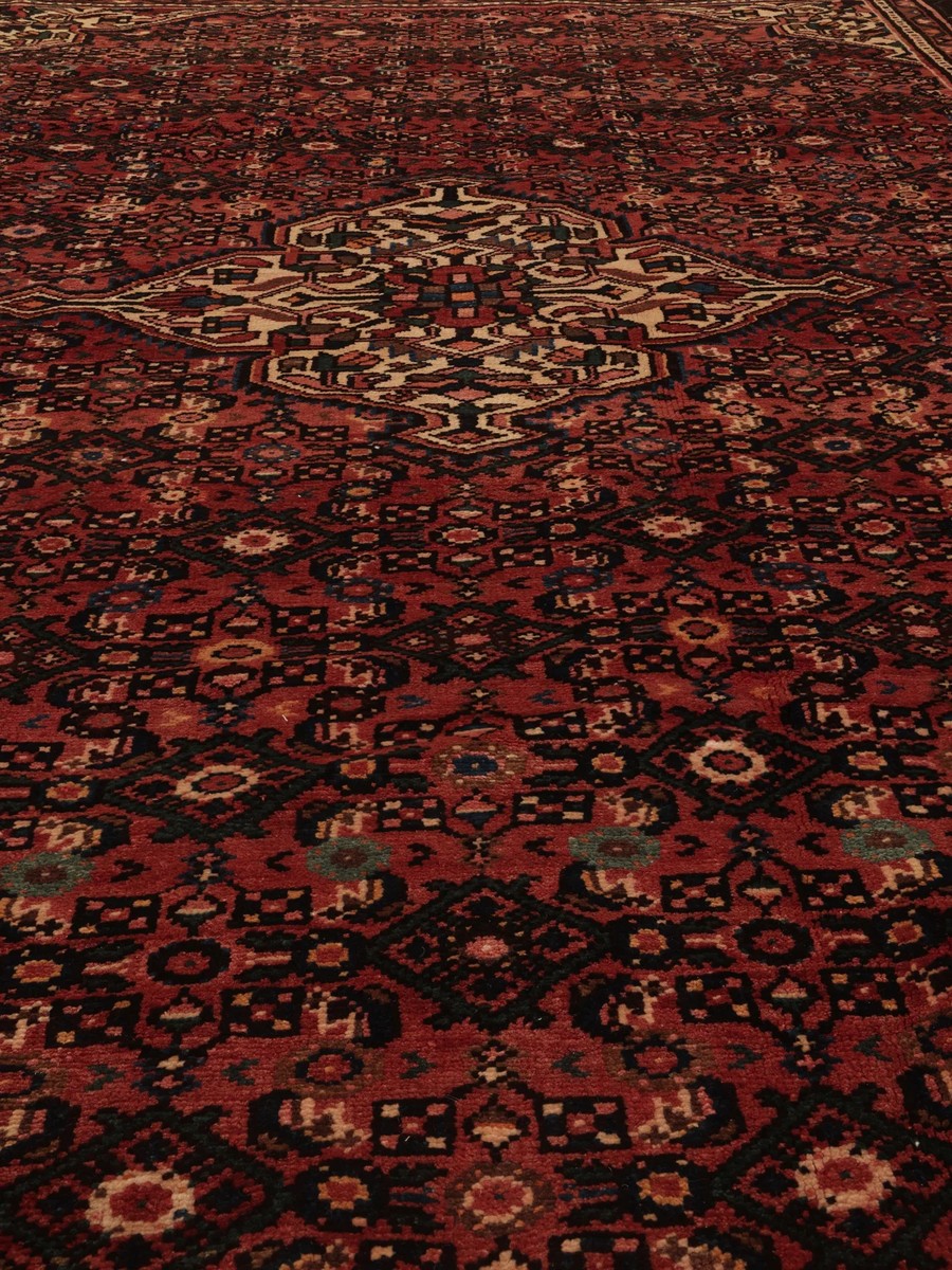 209x310 см, Иран, Восточные, Wool, чёрный — вид 4