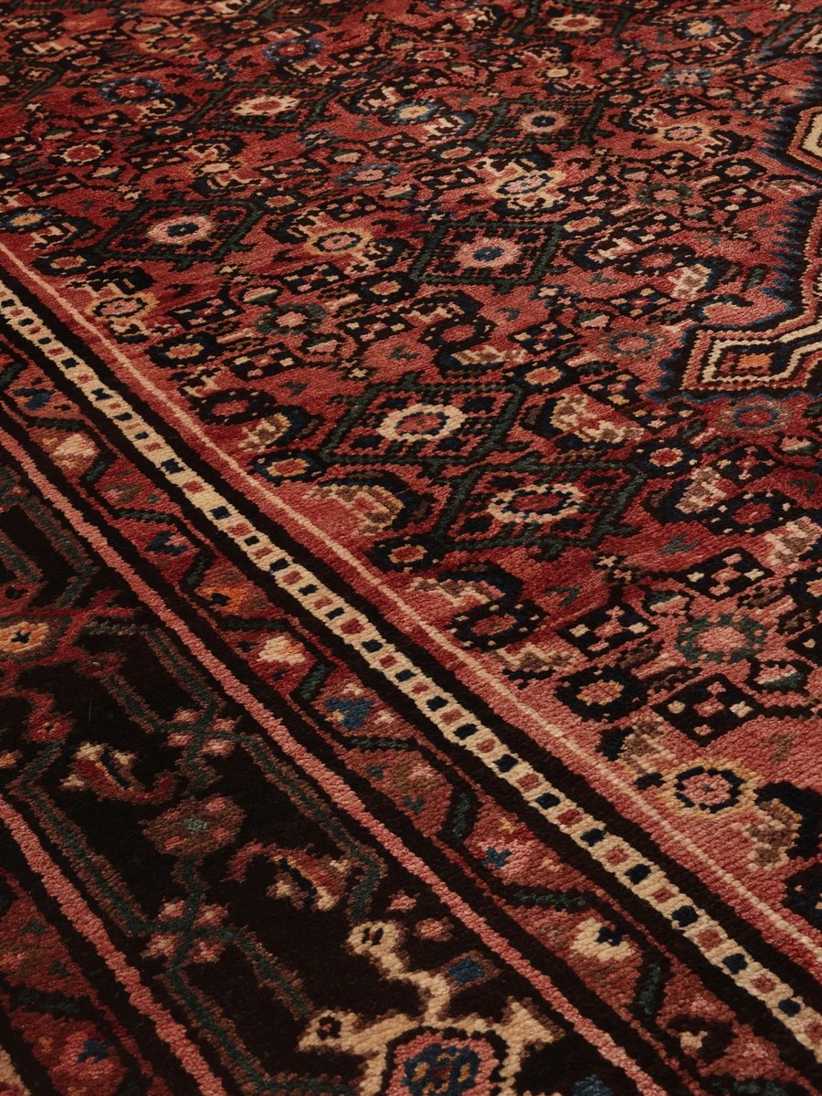 209x310 см, Иран, Восточные, Wool, чёрный — вид 5