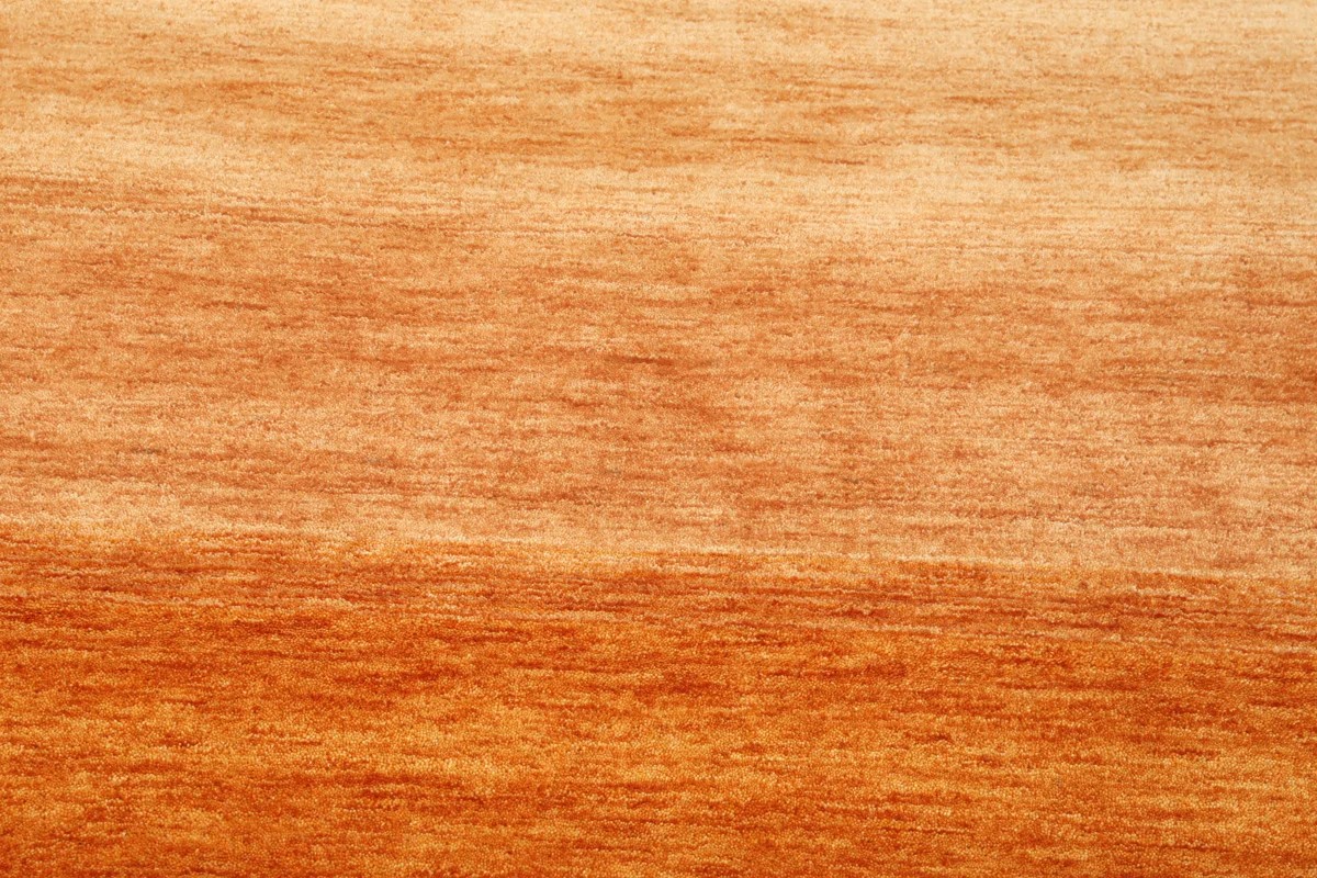 210x290 см, Индия, Габбе, Wool, ржаво-красный — вид 5