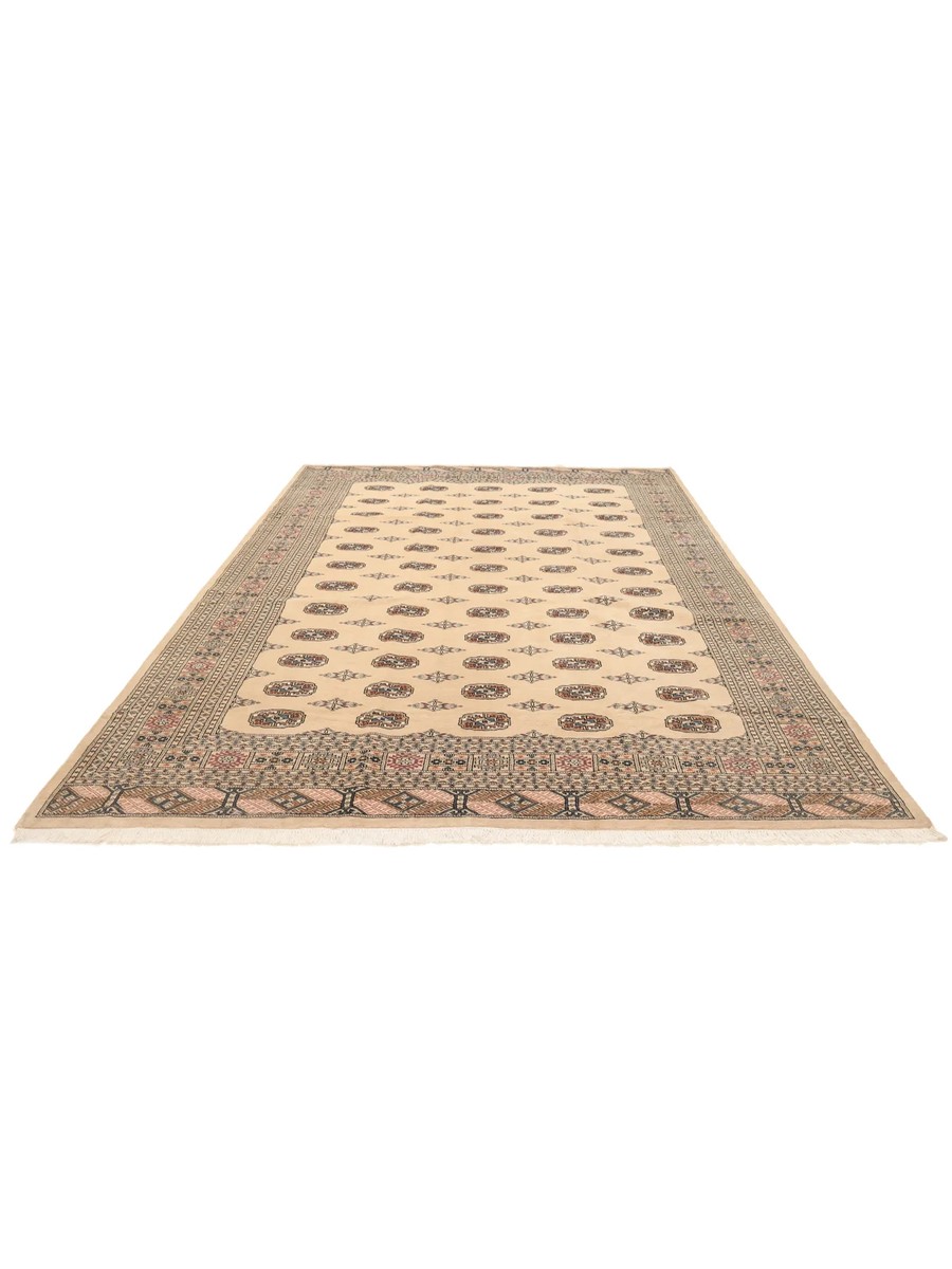 245x359 см, Пакистан, Афган / Пакистан, Wool, коричневый — вид 3