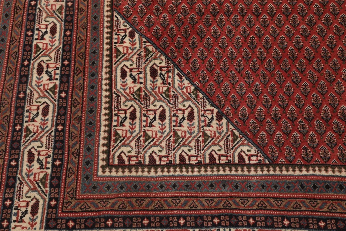 253x358 см, Иран, Сарук, Wool, чёрный — вид 5